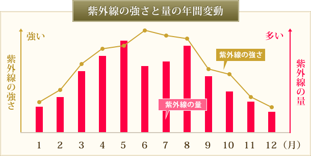 f:id:rurusaworld:20170803213702g:plain f:id:rurusaworld:20170803213702g:plain