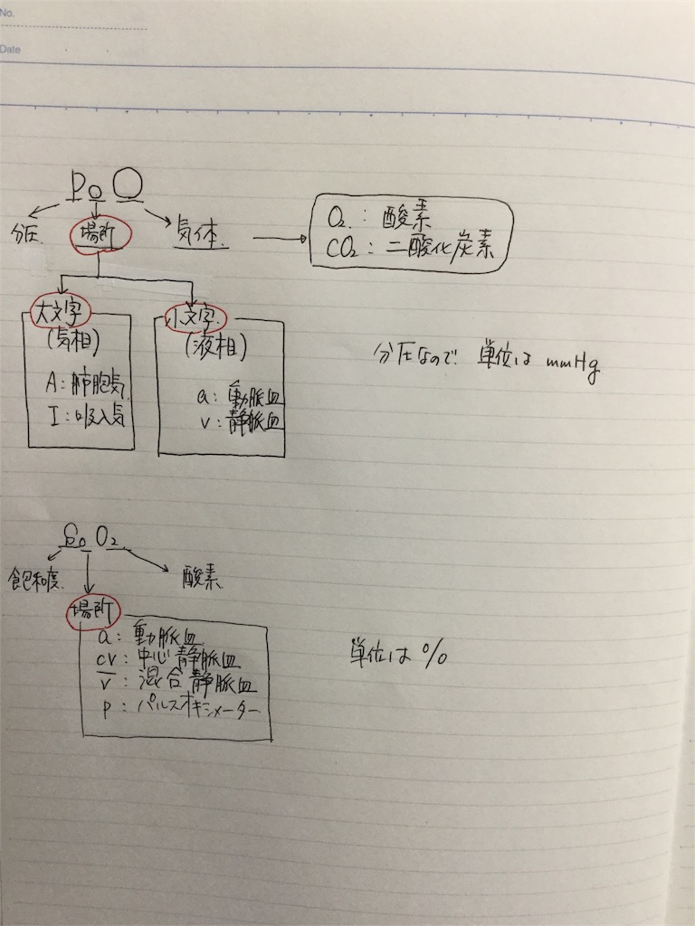 基準 値 pco2