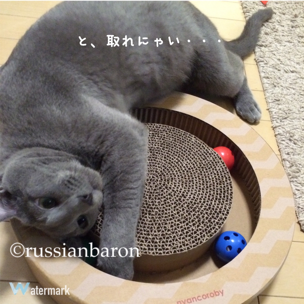 f:id:russianbaron:20170307090217j:plain f:id:russianbaron:20170307090217j:plain