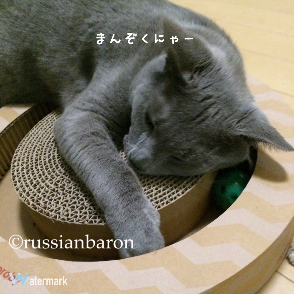 f:id:russianbaron:20170307090243j:plain f:id:russianbaron:20170307090243j:plain