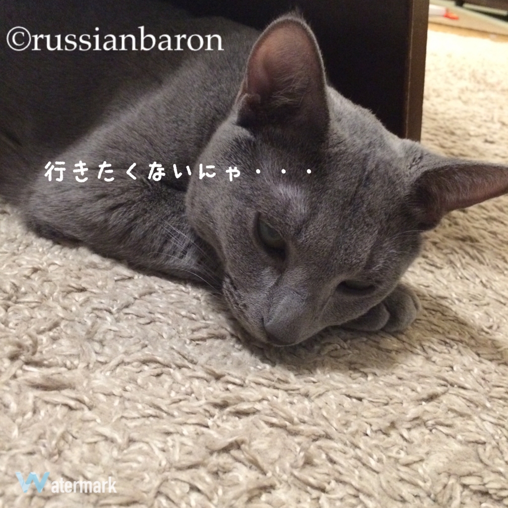 f:id:russianbaron:20170326152817j:plain f:id:russianbaron:20170326152817j:plain