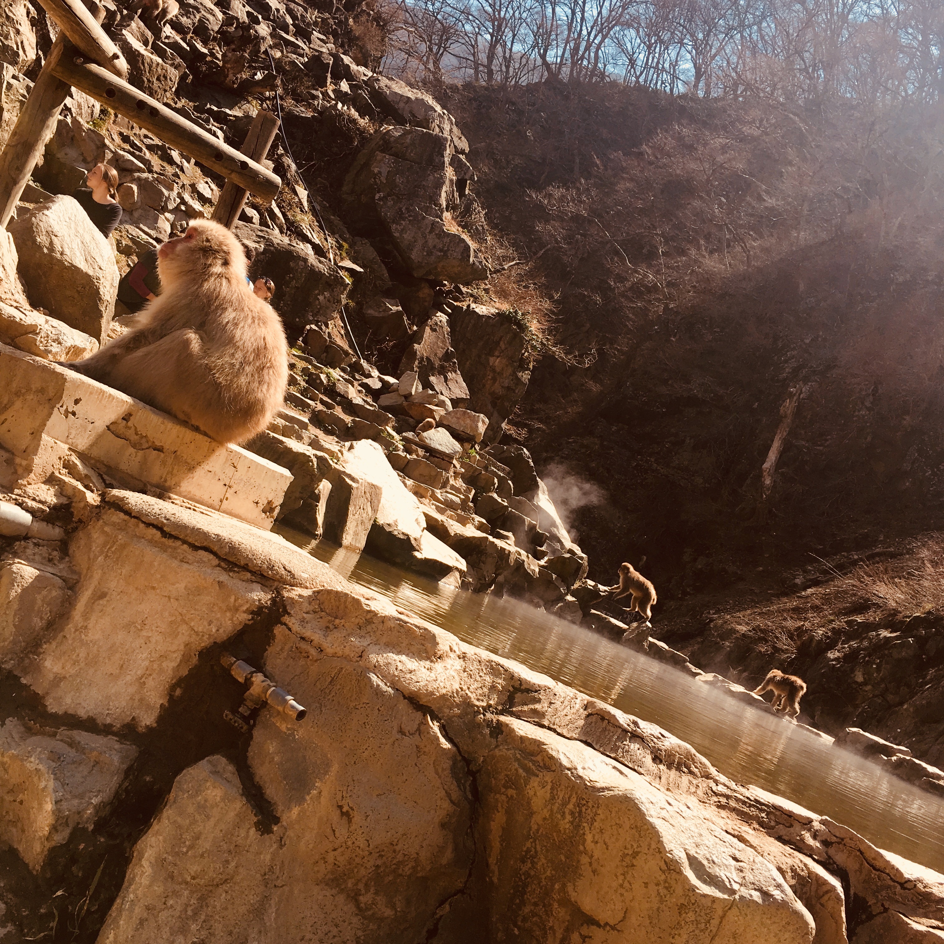 f:id:russianblue39:20180523010058j:image