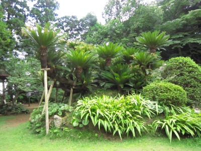 f:id:rust-chance:20120916120049j:image