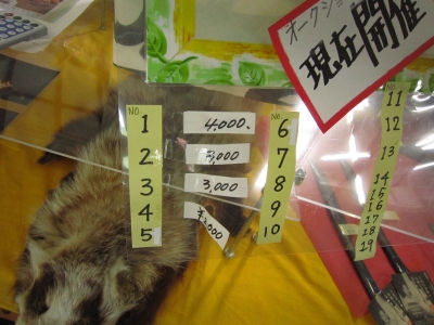 f:id:rust-luck:20110528201350j:image f:id:rust-luck:20110528201350j:image
