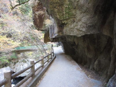 f:id:rust-rush:20121118163136j:image