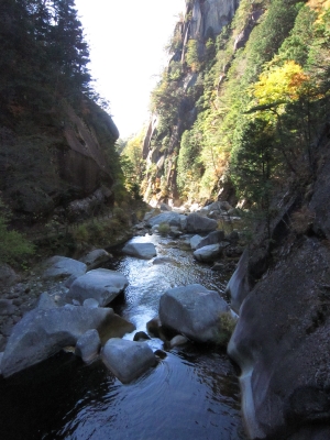 f:id:rust-rush:20121118163139j:image