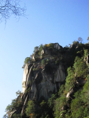 f:id:rust-rush:20121118163145j:image