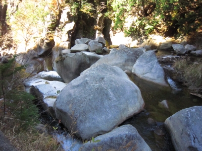 f:id:rust-rush:20121118163146j:image