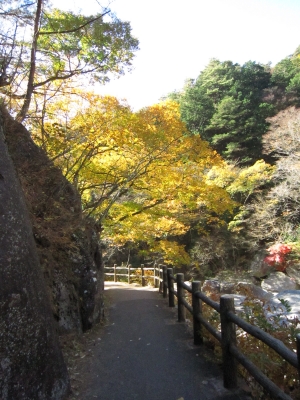 f:id:rust-rush:20121118163152j:image
