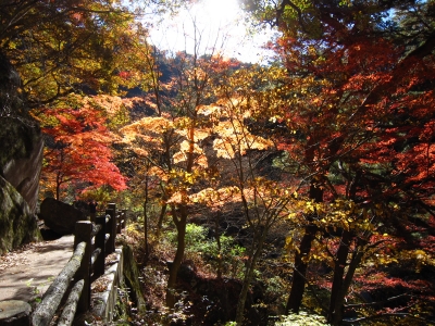 f:id:rust-rush:20121118163153j:image