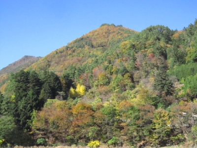 f:id:rust-rush:20121118163500j:image