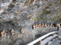 20120503120556