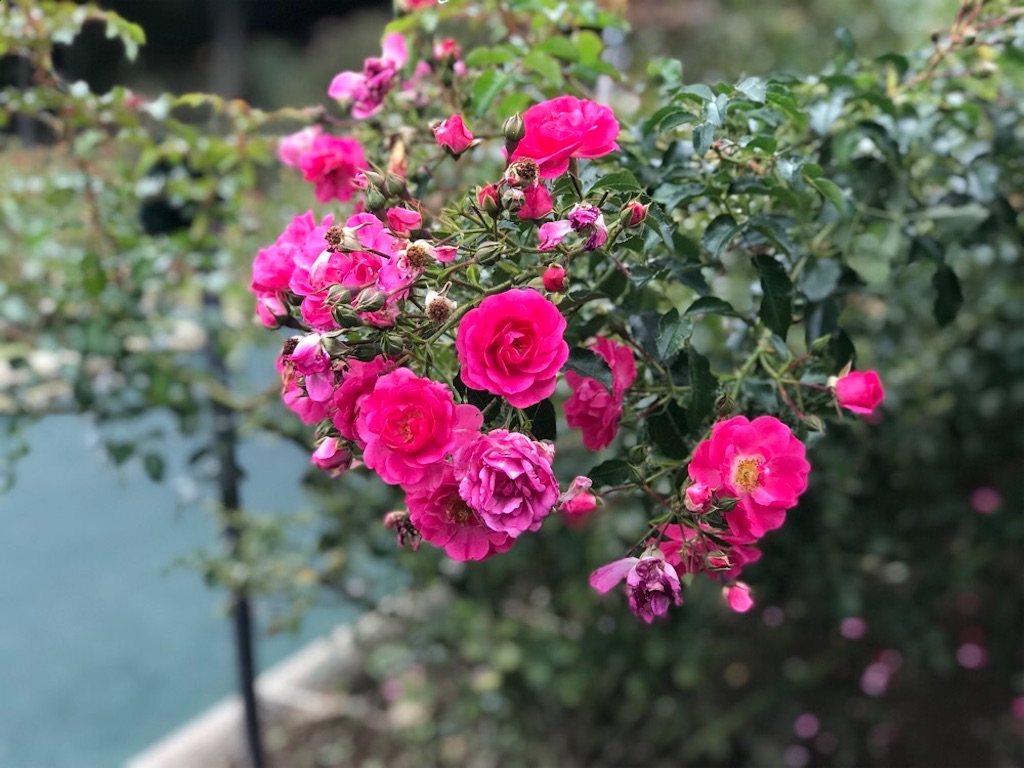 f:id:ruuch:20231015181559j:image