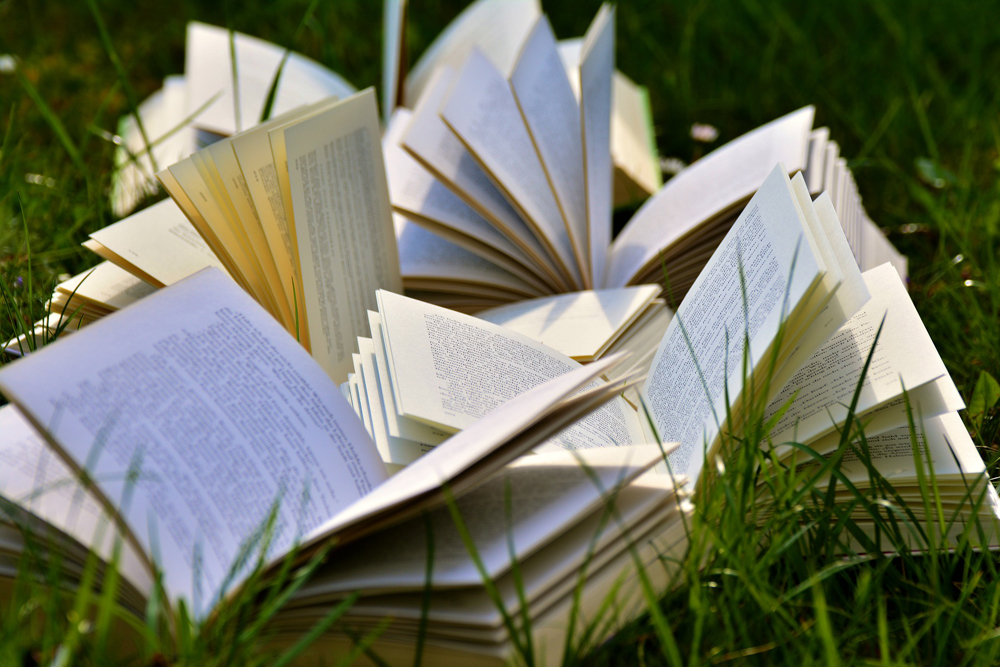 司書資格を通信で取得するなら 安くて最短半年の近大がオススメ るうらのペン 司書資格を通信で取得するなら 安くて最短半年の近大がオススメ るうらのペン