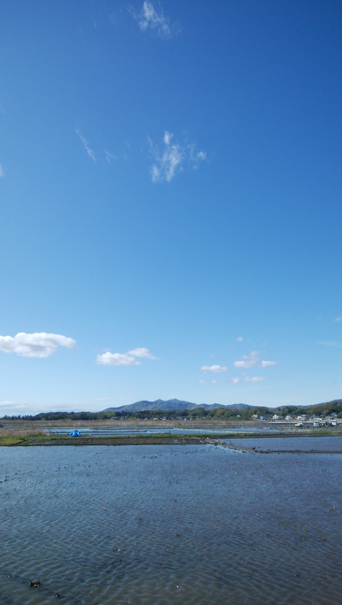 f:id:ruuyuki:20200419142952j:plain
