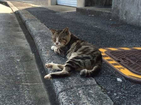 f:id:ruyue:20140929154435j:image:w360 f:id:ruyue:20140929154435j:image:w360