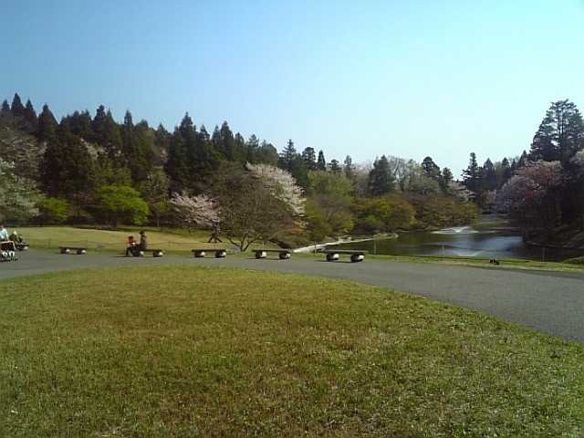 f:id:rvt-aa:20090412002405j:image:w200