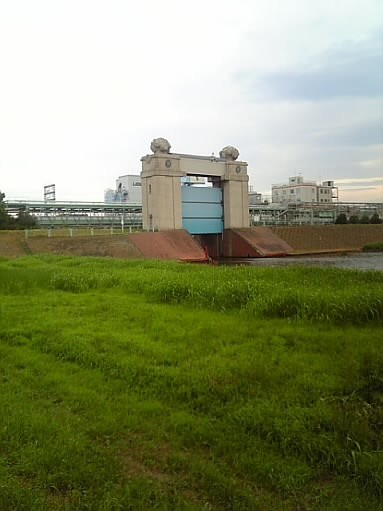 f:id:rvt-aa:20090801001628j:image:w180