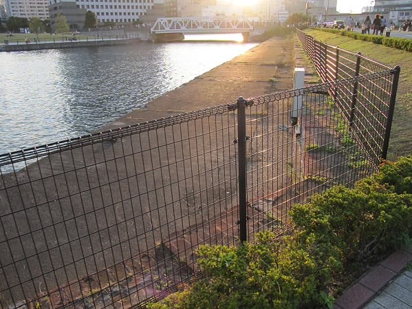 f:id:rvt-aa:20100102184736j:image:w200:left