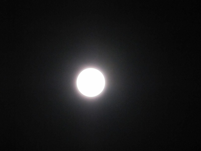 f:id:rvt-aa:20130920035428j:image:w360:left