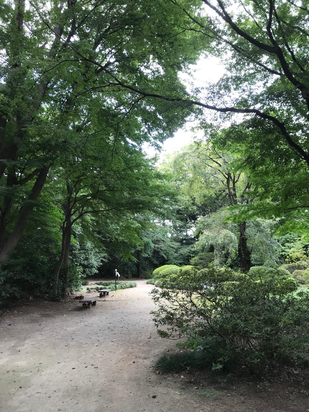 f:id:rx78jenjen:20180823155925j:plain f:id:rx78jenjen:20180823155925j:plain