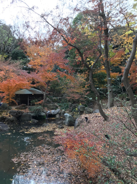 f:id:rx78jenjen:20191213204133j:plain f:id:rx78jenjen:20191213204133j:plain