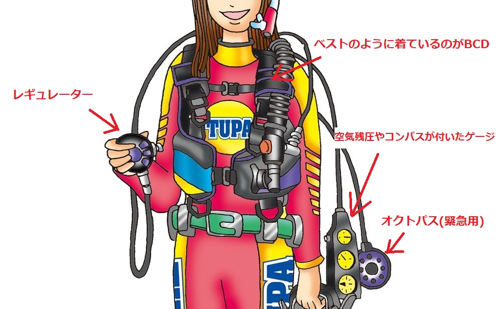 BCDとレギュレーター図解