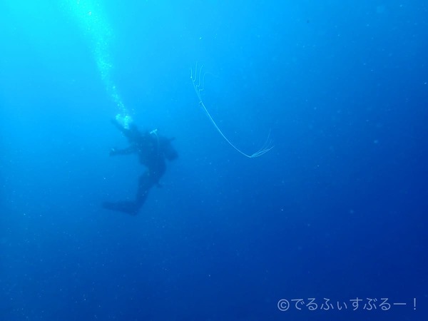 それとは気づけない大きさ