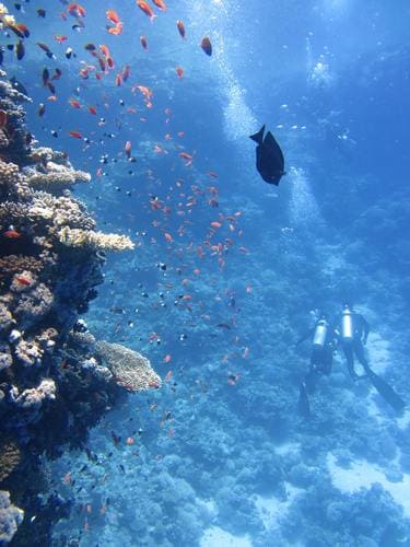 沖縄ならこんな景色が見れるかも