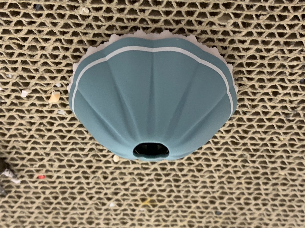 f:id:ry_mizuki:20210808195415j:image