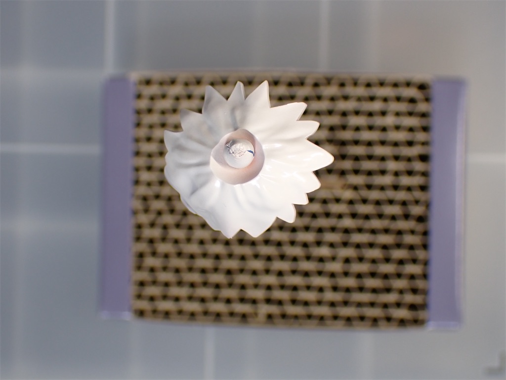 f:id:ry_mizuki:20250514231244j:image