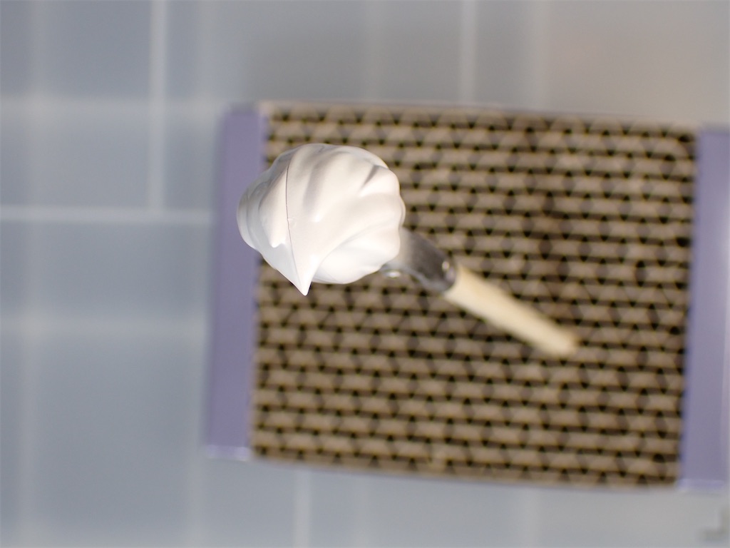 f:id:ry_mizuki:20250514231254j:image