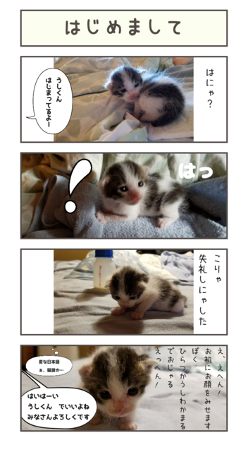 f:id:ryai:20180607154356p:plain f:id:ryai:20180607154356p:plain