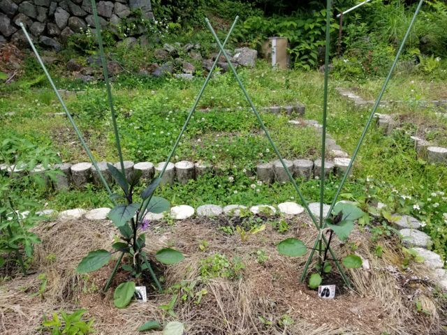 f:id:ryai:20180608111733j:plain f:id:ryai:20180608111733j:plain