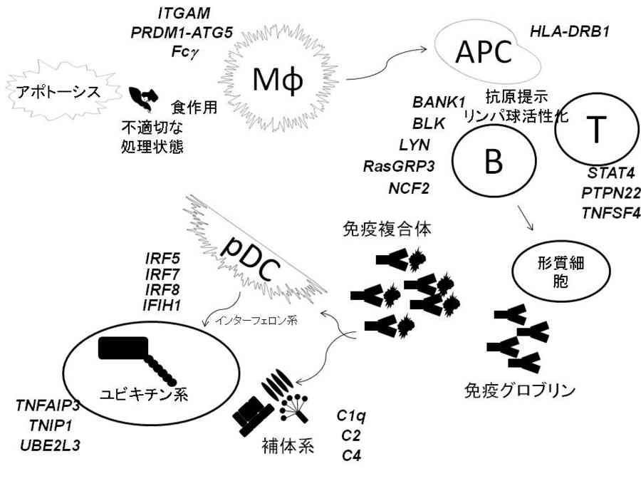 f:id:ryamada:20121031114513j:image f:id:ryamada:20121031114513j:image