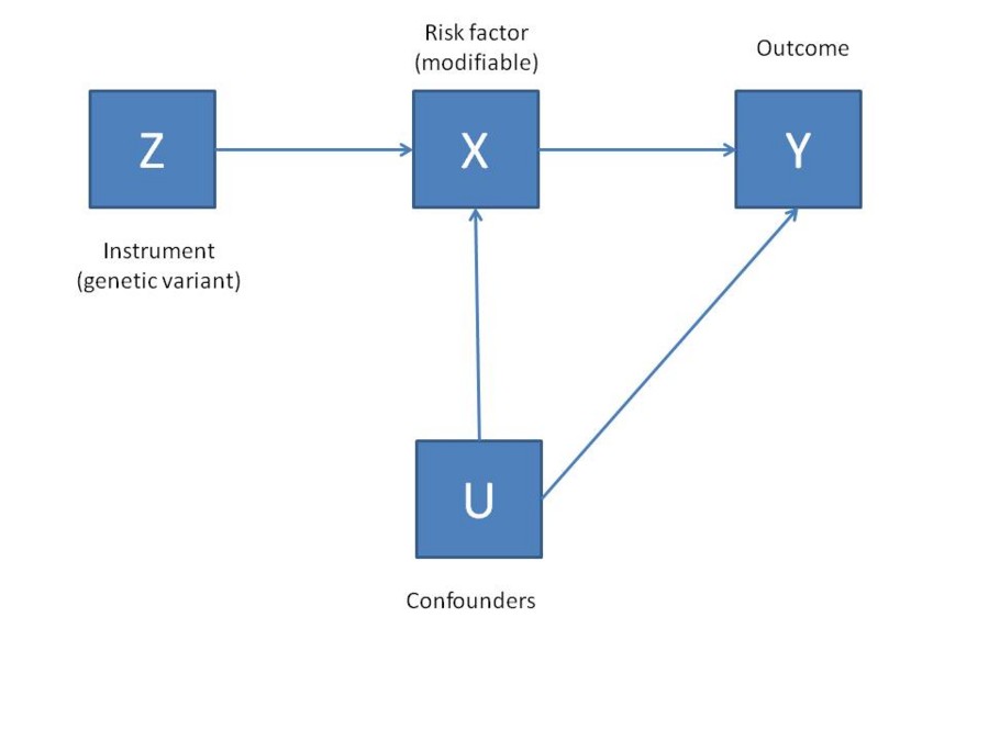 f:id:ryamada22:20130305093009j:image