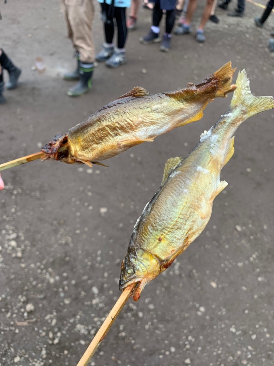 f:id:ryamakuchi:20190828183620j:plain f:id:ryamakuchi:20190828183620j:plain