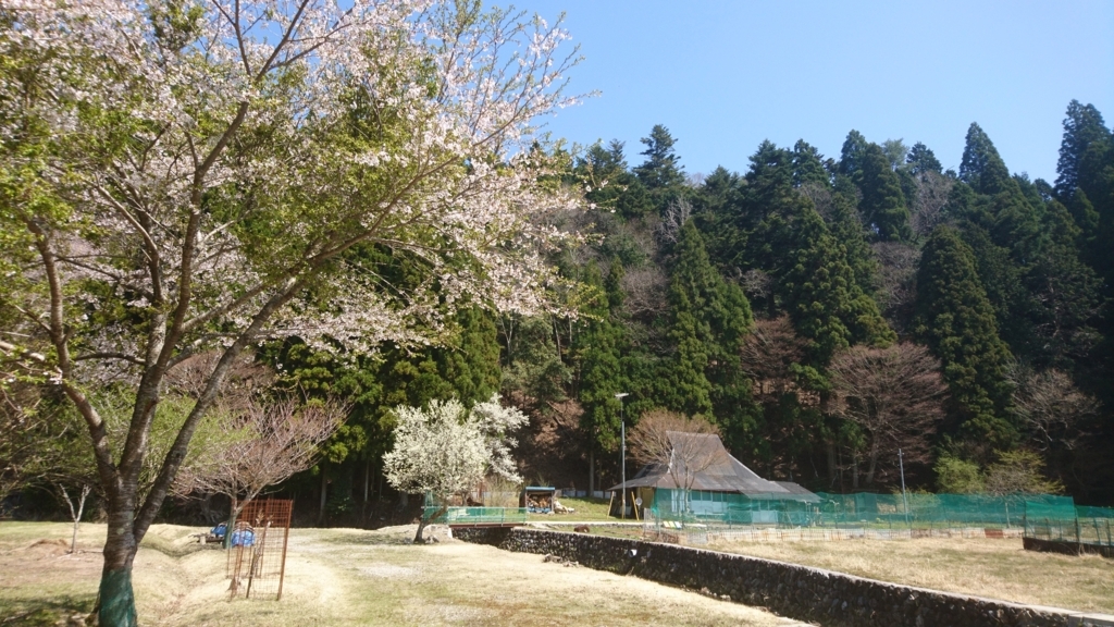 f:id:ryanan:20180528231609j:plain f:id:ryanan:20180528231609j:plain