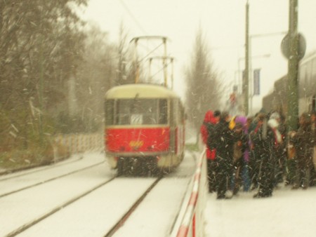 f:id:rybicka:20081122094027j:image f:id:rybicka:20081122094027j:image