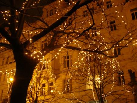 f:id:rybicka:20081211214436j:image f:id:rybicka:20081211214436j:image