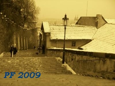 f:id:rybicka:20090116203410j:image f:id:rybicka:20090116203410j:image