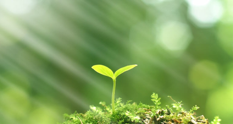 f:id:ryc-method:20180221161232j:plain