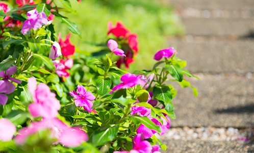 f:id:ryc-method:20180221163737j:plain f:id:ryc-method:20180221163737j:plain