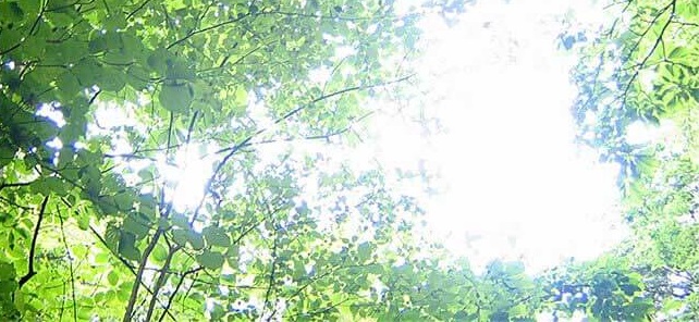 f:id:ryc-method:20180430134136j:plain f:id:ryc-method:20180430134136j:plain
