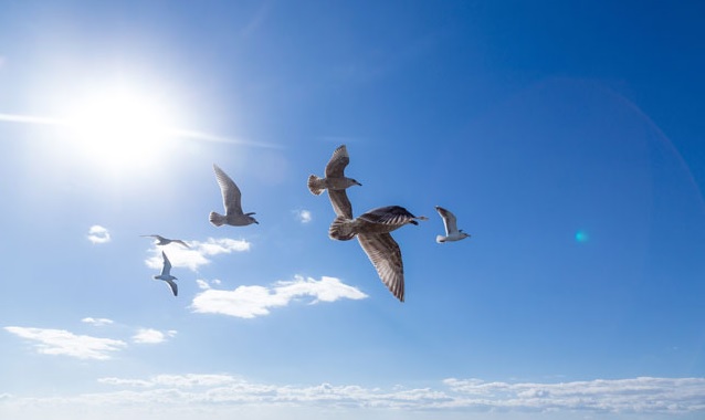 f:id:ryc-method:20180604214313j:plain f:id:ryc-method:20180604214313j:plain