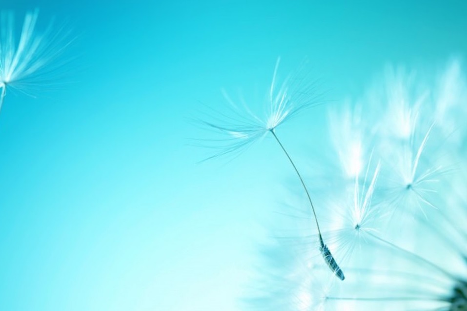 f:id:ryc-method:20181108203137j:plain