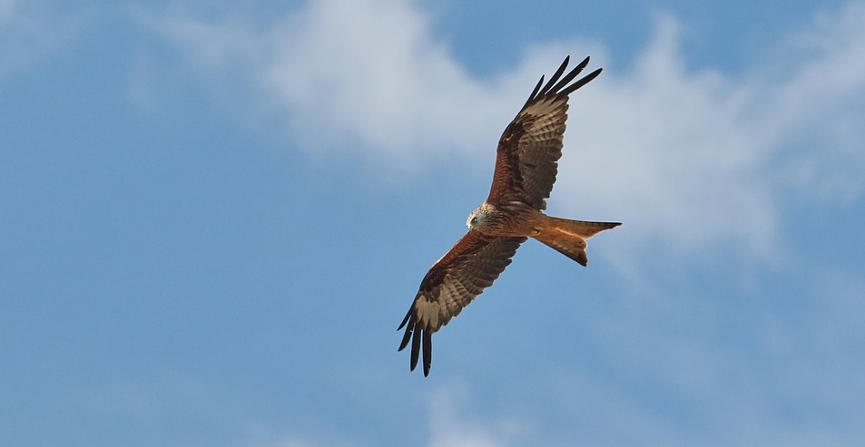 f:id:ryc-method:20181126151118j:plain