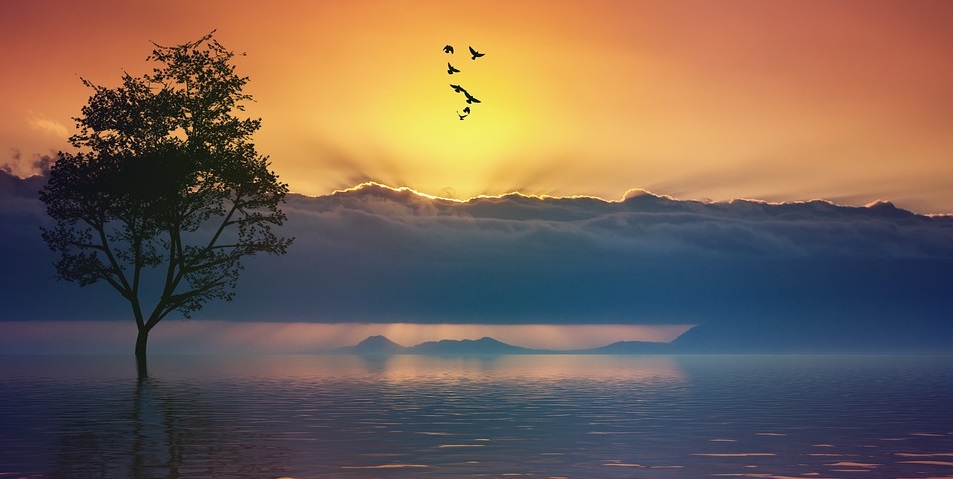 f:id:ryc-method:20190222172556j:plain f:id:ryc-method:20190222172556j:plain