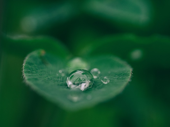 f:id:ryc-method:20190408094105j:plain