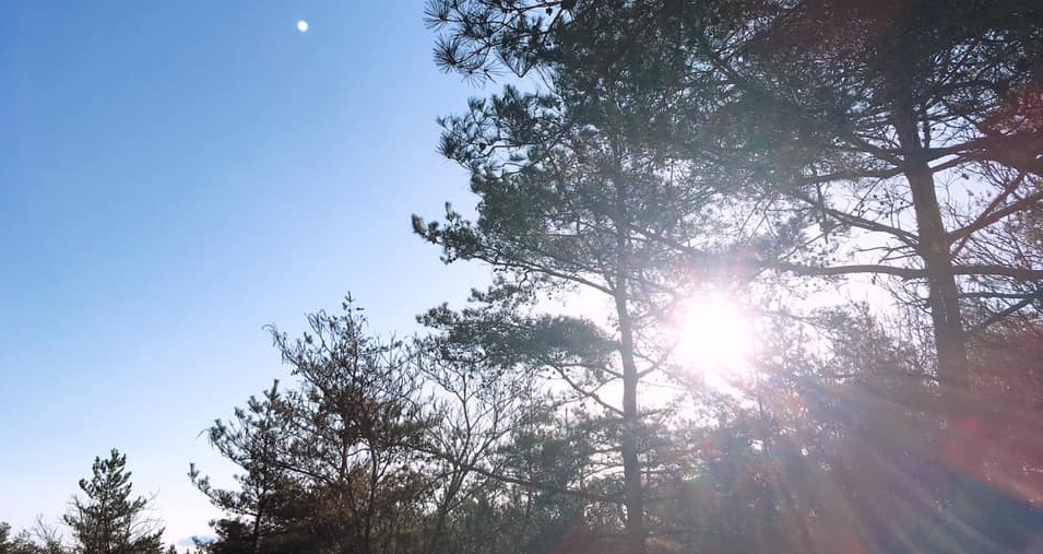 f:id:ryc-method:20190409105919j:plain